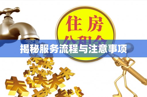 曲阳揭秘服务流程与注意事项